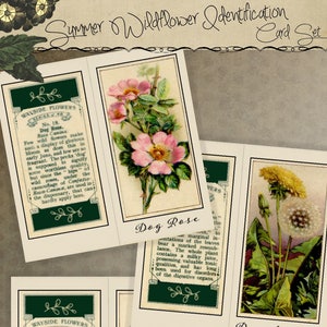Cartes d'identité imprimables à téléchargement immédiat avec fleurs sauvages pour journaux nature Journal d'art Scrapbooking Lapbooks Projets scolaires Collage