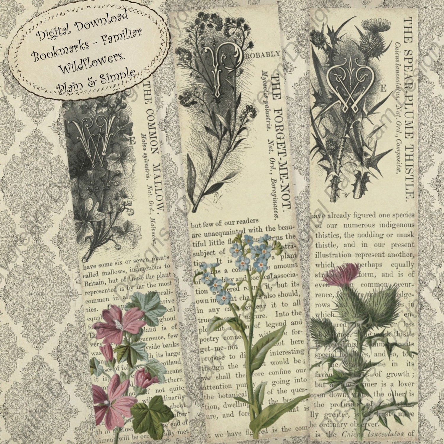 digital collage set of 6 bookmarks Botanical Bookmarks printable JPG file