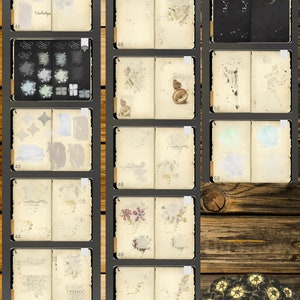 K&ouml;nnte beinhalten: Ein digitales Junk-Journal mit verschiedenen Seiten mit Aquarellwaschungen, botanischen Illustrationen und handschriftlichem Text. Das Journal enth&auml;lt den Text "Hyperlinked Digital Junk Journal" und "MIRA CALLIGRAPHAE MONUMENTA". Der Hintergrund ist eine Holzstruktur.
