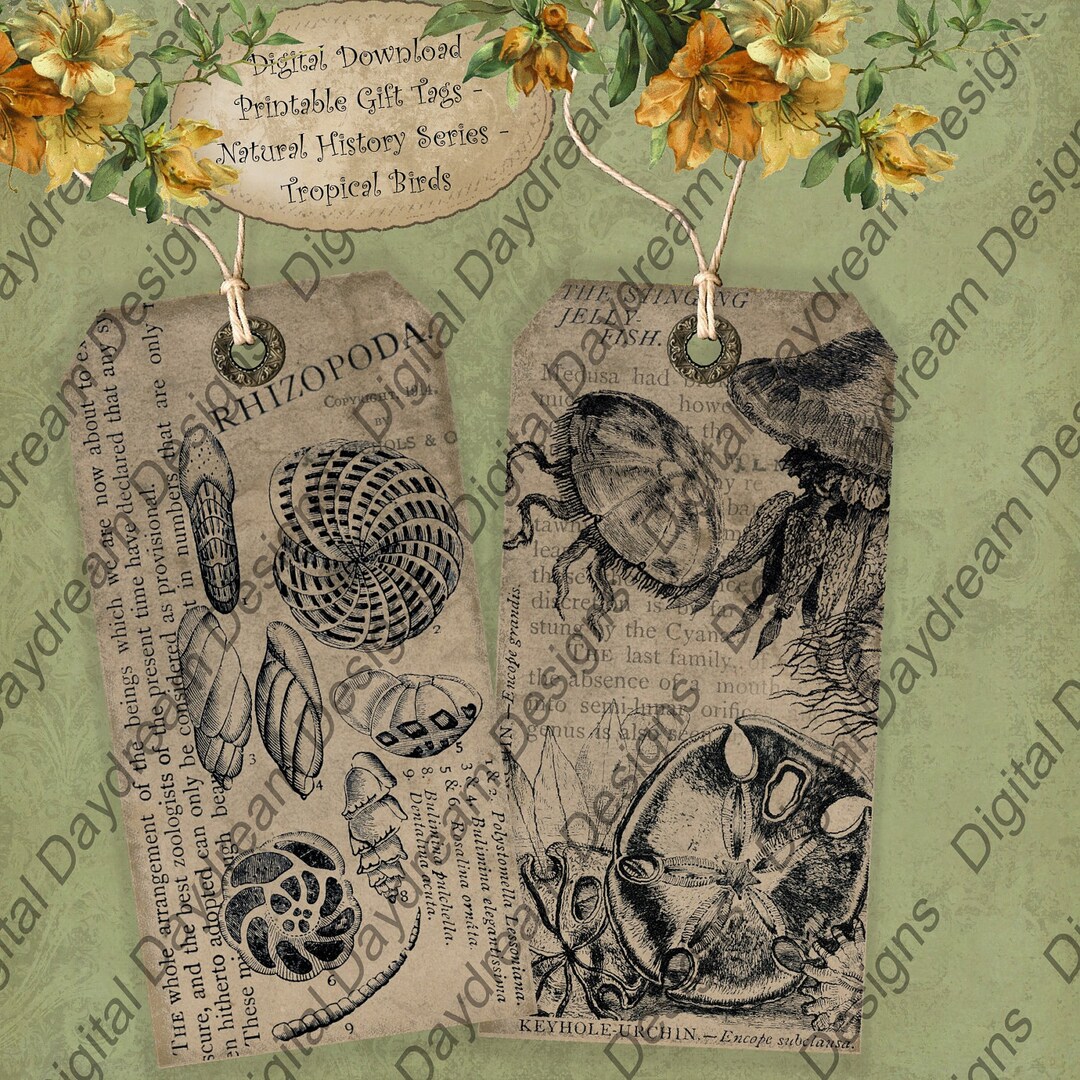 Instant Download Digital Printable Collage Sheet Gift or Scrapbook ...