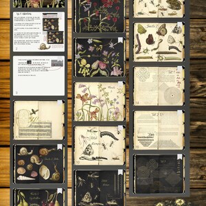 K&ouml;nnte beinhalten: Ein digitales Junk-Journal mit botanischen und Insektenillustrationen, darunter Blumen, Insekten und handschriftlicher Text. Die Journalseiten sind in einem Raster angeordnet, mit dem Titel "MIRA CALLIGRAPHAE MONUMENTA" oben. Der Hintergrund ist eine Holzstruktur.