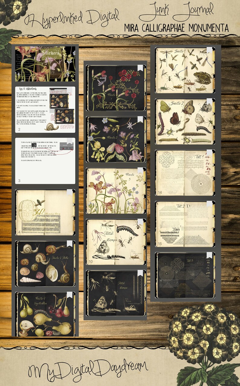 K&ouml;nnte beinhalten: Ein digitales Junk-Journal mit botanischen und Insektenillustrationen, darunter Blumen, Insekten und handschriftlicher Text. Die Journalseiten sind in einem Raster angeordnet, mit dem Titel "MIRA CALLIGRAPHAE MONUMENTA" oben. Der Hintergrund ist eine Holzstruktur.