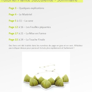 Tutoriel Plante Succulente en Français bild 6
