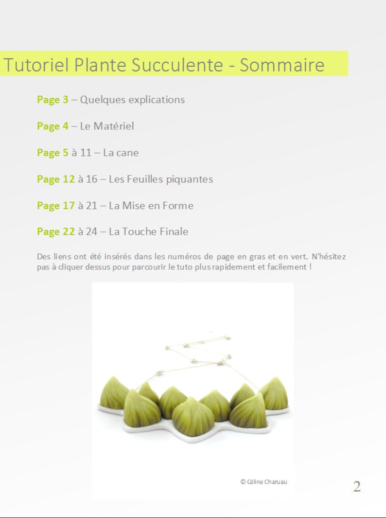 Tutoriel Plante Succulente en Français bild 6