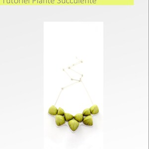 Tutoriel Plante Succulente en Français bild 5