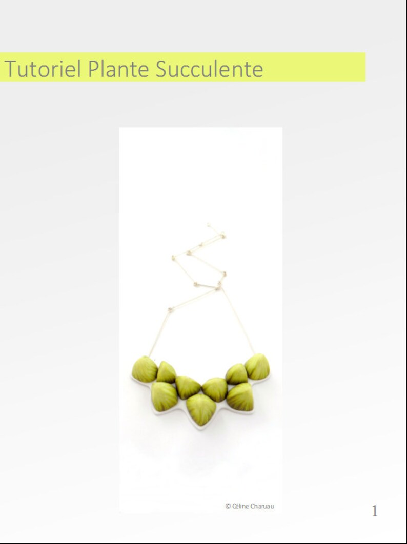 Tutoriel Plante Succulente en Français bild 5