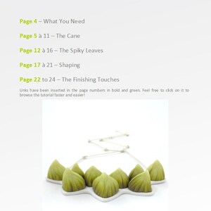 May include: A table of contents for a succulent plant tutorial. The tutorial covers topics such as what you need, the cane, spiky leaves, shaping, and finishing touches. The page numbers are highlighted in bold and green. The image also shows a close-up of a green succulent plant necklace.