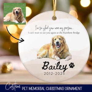 Pet Memorial Gift Custom Ornament, Cat Dog Memorial Gift, Dog Cat Loss Ornament, Dog Remembrance Gift, Rainbow Bridge Gifts, Pet Lover Gift