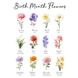 May include: A floral chart featuring watercolor illustrations of birth month flowers. The image includes the names of the months and their corresponding flowers, such as Carnation for January and Daisy for April. The text "Birth Month Flowers" is at the top.