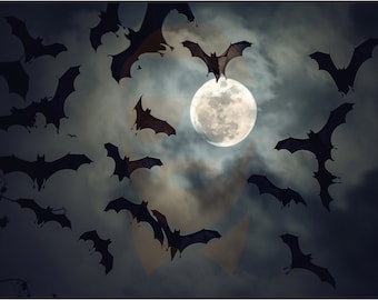 Bundle PC/Tablet Digital Wallpaper Bats at Night