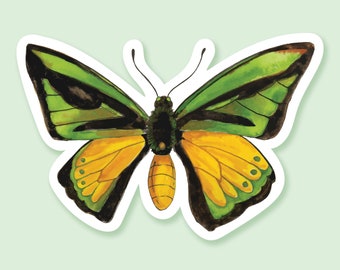Green and Yellow Butterfly Sticker