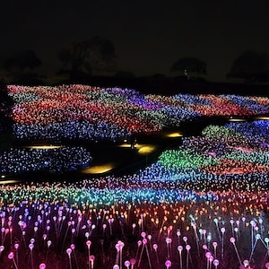 Sensorio - Paso Robles. CA