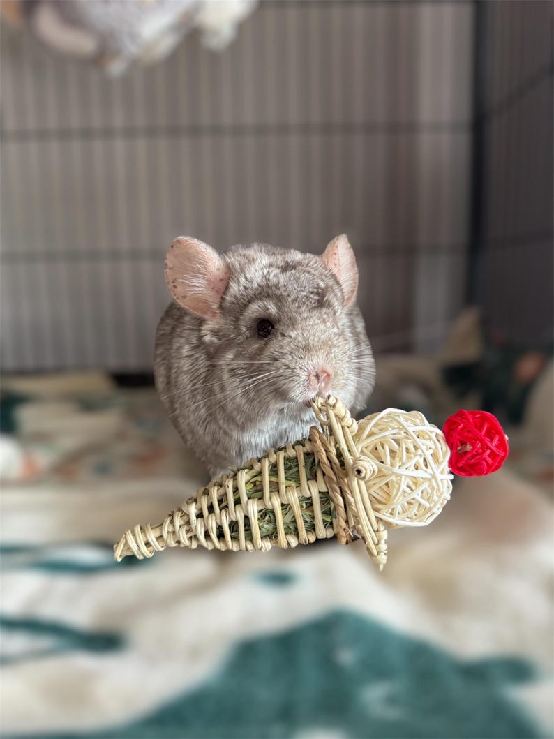 Timothy Hay Cone - All Natural - Enrichment Toy for Rabbits ...