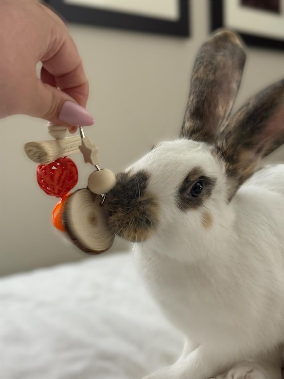 Bereicherungsspielzeug fr Kaninchen, Meerschweinchen - Ses Bambus- und  Apfelstockspielzeug - Etsy Schweiz