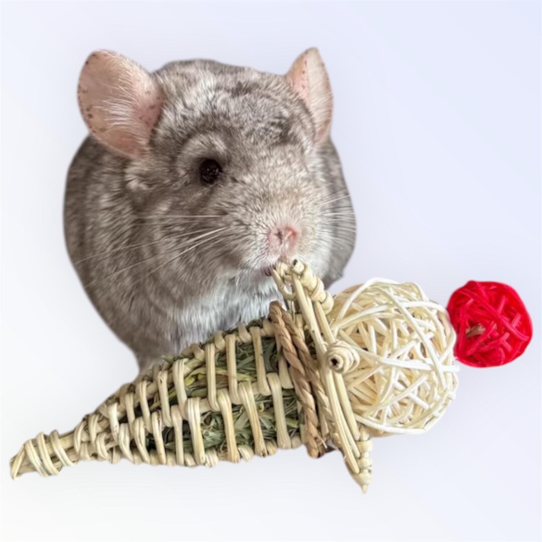 Timothy Hay Cone - All Natural - Enrichment Toy for Rabbits ...