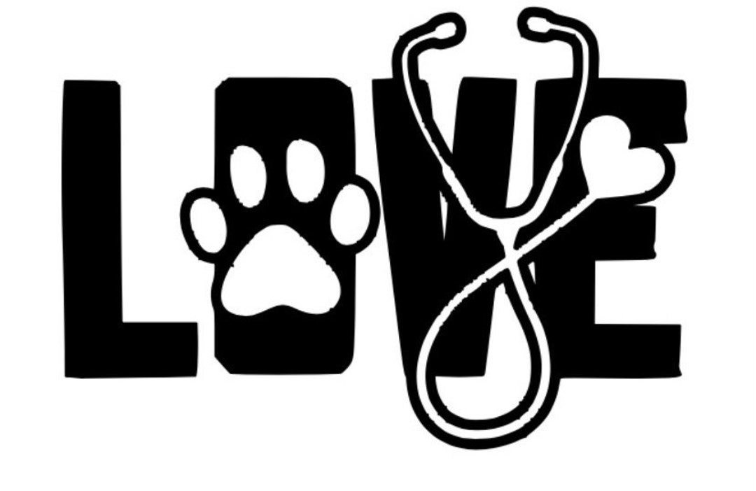 LOVE MY PET / ANIMAL LOVER Vinyl Decal – Choose Size & Color – Oracal – Car Or Wall Sticker
