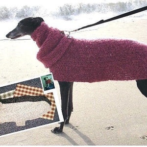 AerieDesigns Quick Easy Greyhound Dog Sweater Crochet PATTERN INSTRUCTIONS with Snood Digital PDF Download plus Little Dog Sweater image 1