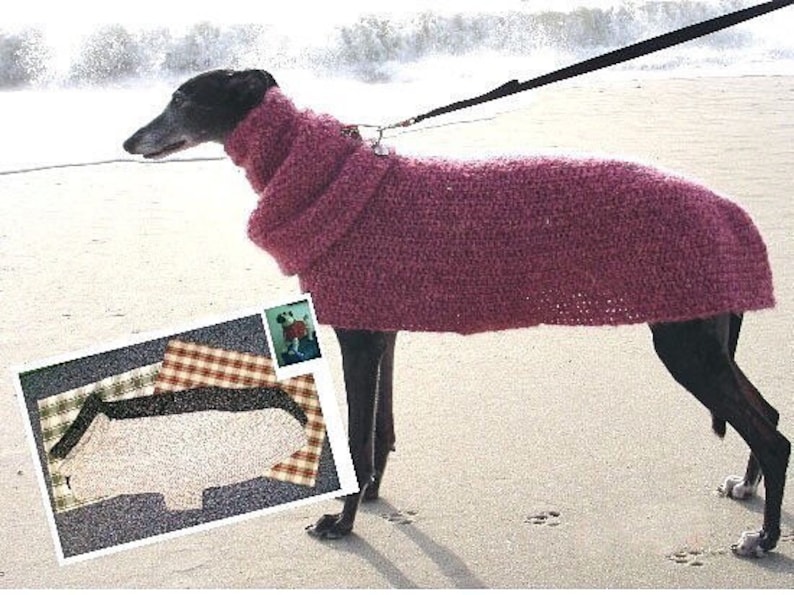 AerieDesigns Quick Easy Greyhound Dog Sweater Crochet PATTERN INSTRUCTIONS with Snood Digital PDF Download plus Little Dog Sweater image 1