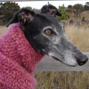 AerieDesigns Quick Easy Greyhound Dog Sweater Crochet PATTERN INSTRUCTIONS with Snood Digital PDF Download plus Little Dog Sweater image 2