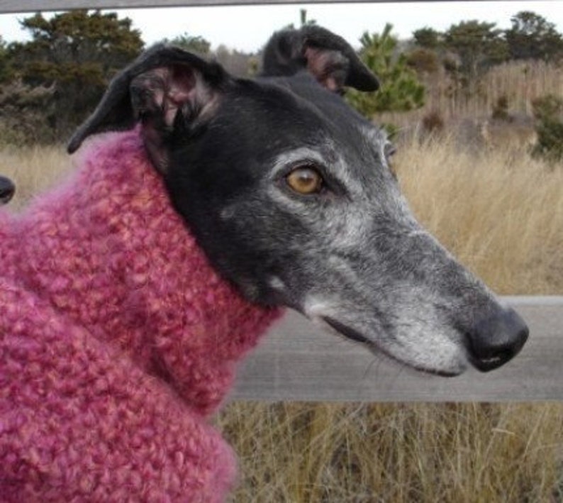 AerieDesigns Quick Easy Greyhound Dog Sweater Crochet PATTERN INSTRUCTIONS with Snood Digital PDF Download plus Little Dog Sweater image 2