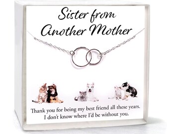 Unbiological Sister Necklace, Gift for Best Friend, Double Circles Jewelry, Adopted Soul Sister from Another Mother, All Sterling Silver