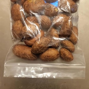 Bitter Kola Nut, Fresh Garcinia Kola - Organic African Orogbo 100g