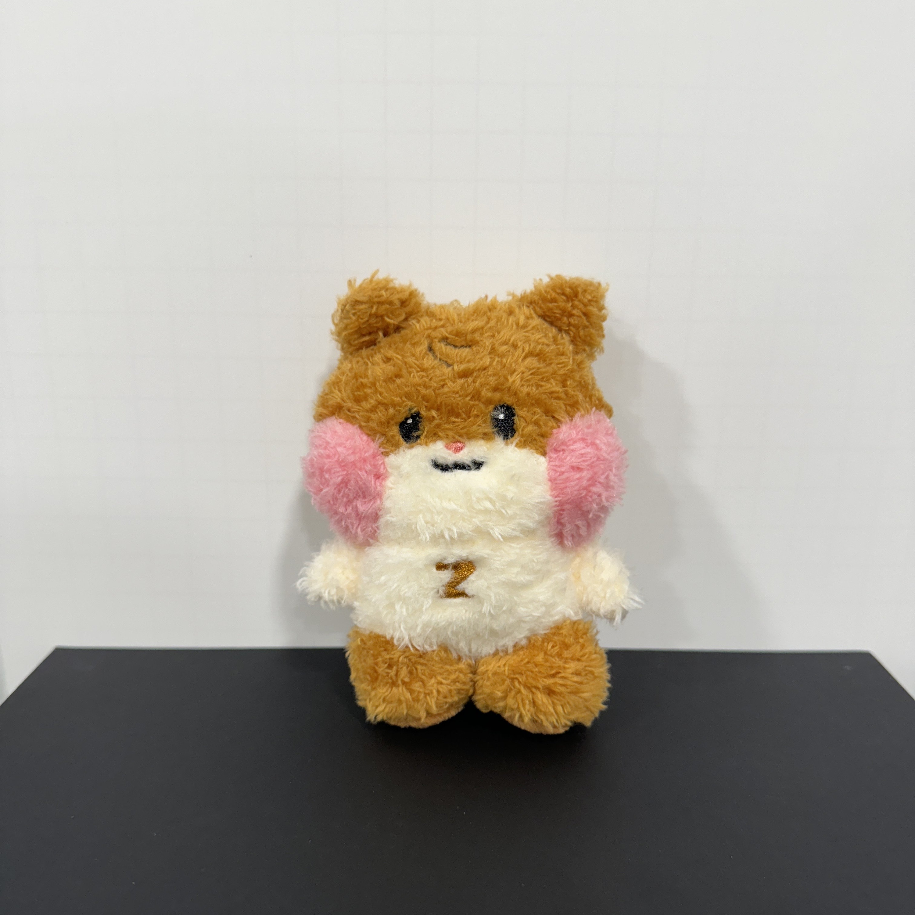 ZEROBASEONE zeroni Message Plush Keyring – LINE FRIENDS_US