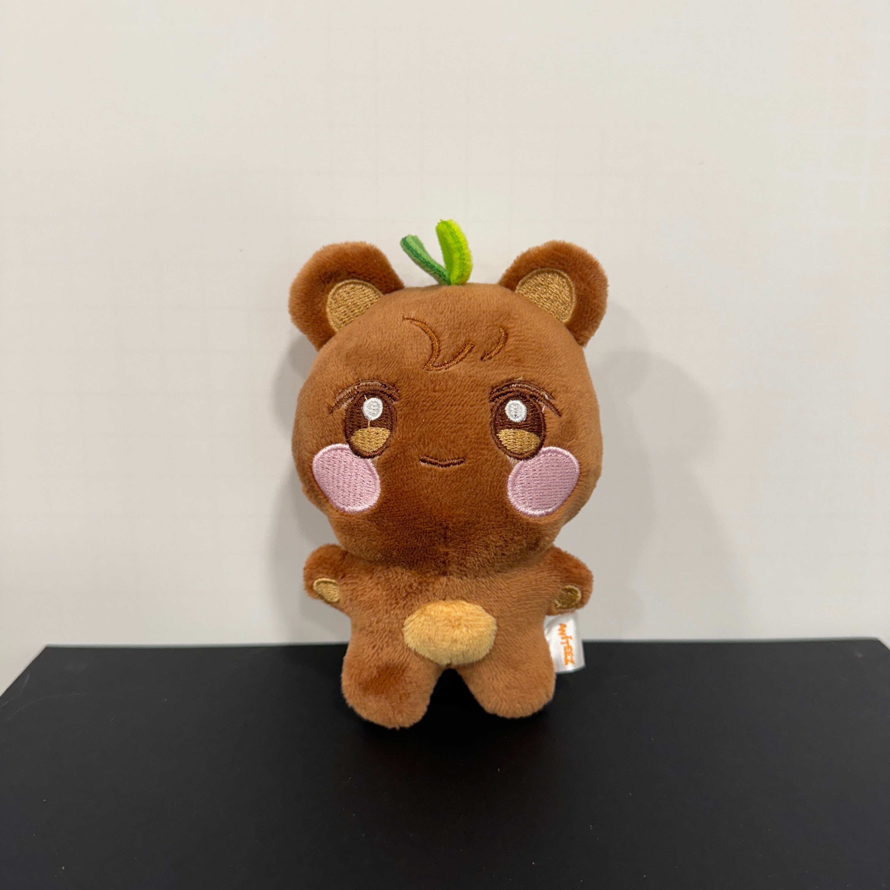 ATEEZ Aniteez Kpop Plush Keychain - Fan Made ATINY Merch ATEEZ Aniteez Kpop Plush Keychain - Fan Made ATINY Merch
