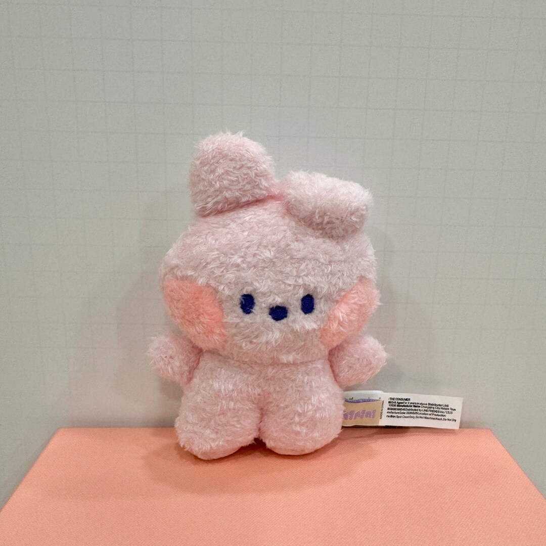 BT21 COOKY KPOP Plush Keychain Cute Gift for BTS Fans - Etsy
