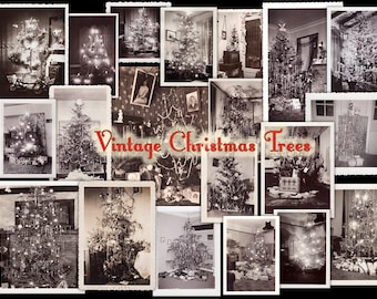 Fotos vintage de árboles de Navidad: instantáneas imprimibles para descarga digital instantánea