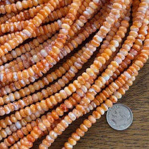 Spiny Oyster 6.5mm Beads - Orange Spiny Oyster Rondelle Bead Strand - Beading Supplies