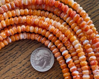 Spiny Oyster 5mm Beads - Orange Spiny Oyster Bead Strand - Beading Supplies