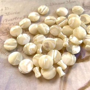 May include: A collection of white mother of pearl buttons with a slightly iridescent sheen. The buttons are round and have a smooth, polished surface.