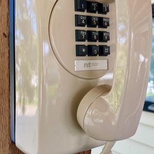以下が含まれることがあります： ベージュ色の壁掛け電話で、同色のカールコードとクロームメッキのフックに置かれた受話器が付いています。デバイスには、白い数字と文字が印字された黒い長方形のキーパッドがあり、ntという文字が書かれた小さな銀色のロゴプレートが付いています。