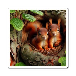 Squirrel Baby Magnets - Woodland Animal Fridge Decor, Cute Refrigerator Magnets, Nature Lover Gift, Wildlife Kitchen Decor, Forest, Animal