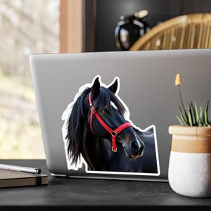 Stickers équestres, Stickers déco amateur de chevaux, oeuvre d'art murale étalon noir, cadeau équestre, stickers équins, cadeau pour amoureux des chevaux, amoureux des animaux