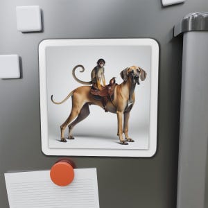 Die-Cut Magnets - Great Dane with Saddle & Spider Monkey, Fridge Magnets, Animal Lover Gift, Big Dogs, Unique Kitchen Accessories, Gift