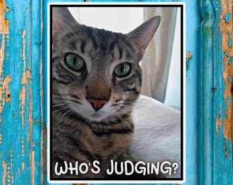 Funny Cat Magnet | Humorous Tabby Kitty Photo, "Who's Judging?" Caption