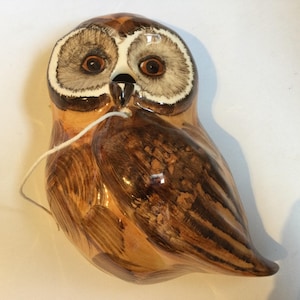 Könnte beinhalten: Eine glänzende Eulenfigur aus Keramik mit handgemalten braunen und beigen Pinselstrichdetails, großen dunklen Augen mit weißen Akzenten und einem kleinen schwarzen Schnabel. Eine dünne weiße Schnur ist an der Brust der Eule befestigt.
