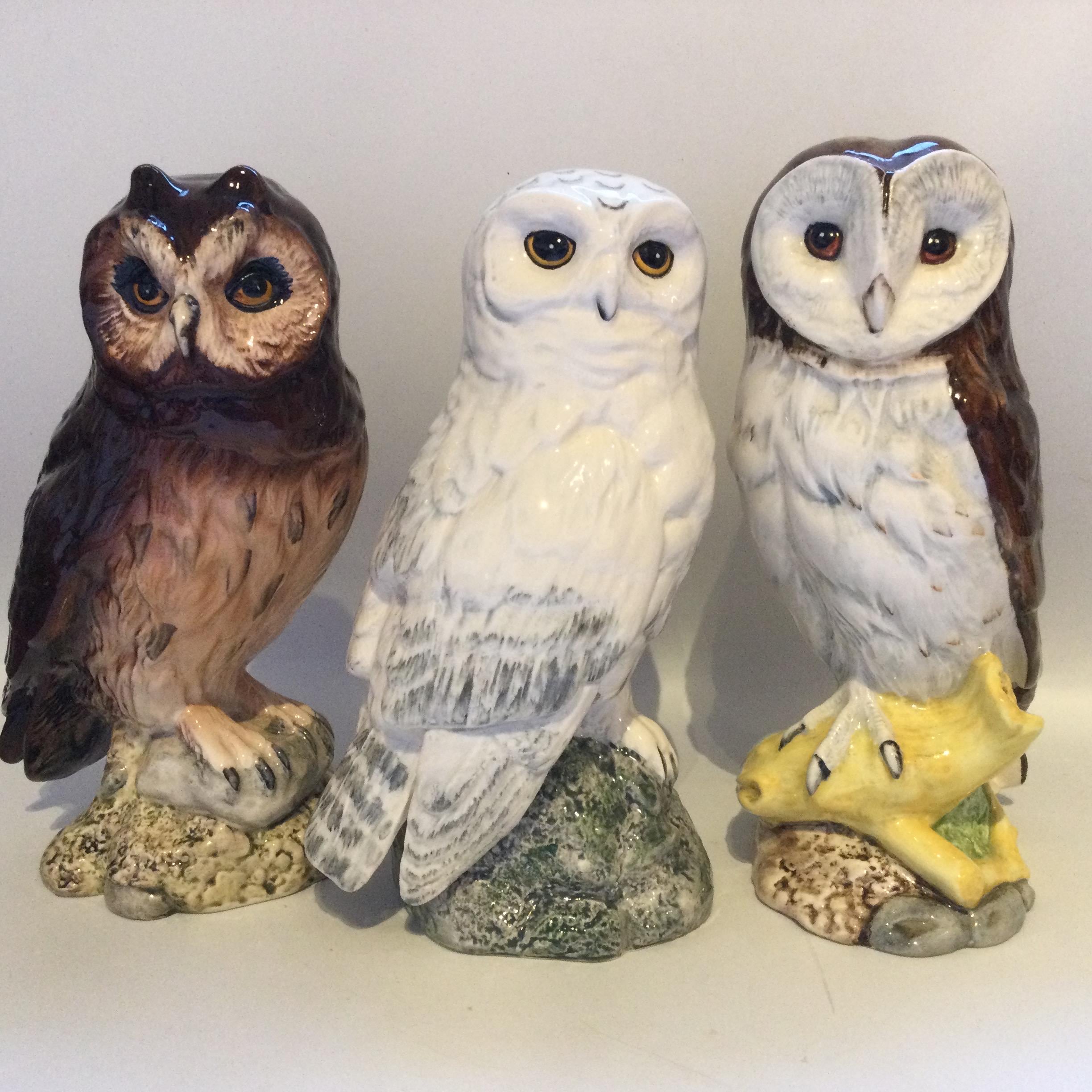 Engravable ヴィンテージ アウル　フィギュリン ロイヤルドルトン　OWL Runwell Shinola | Watch 置物
