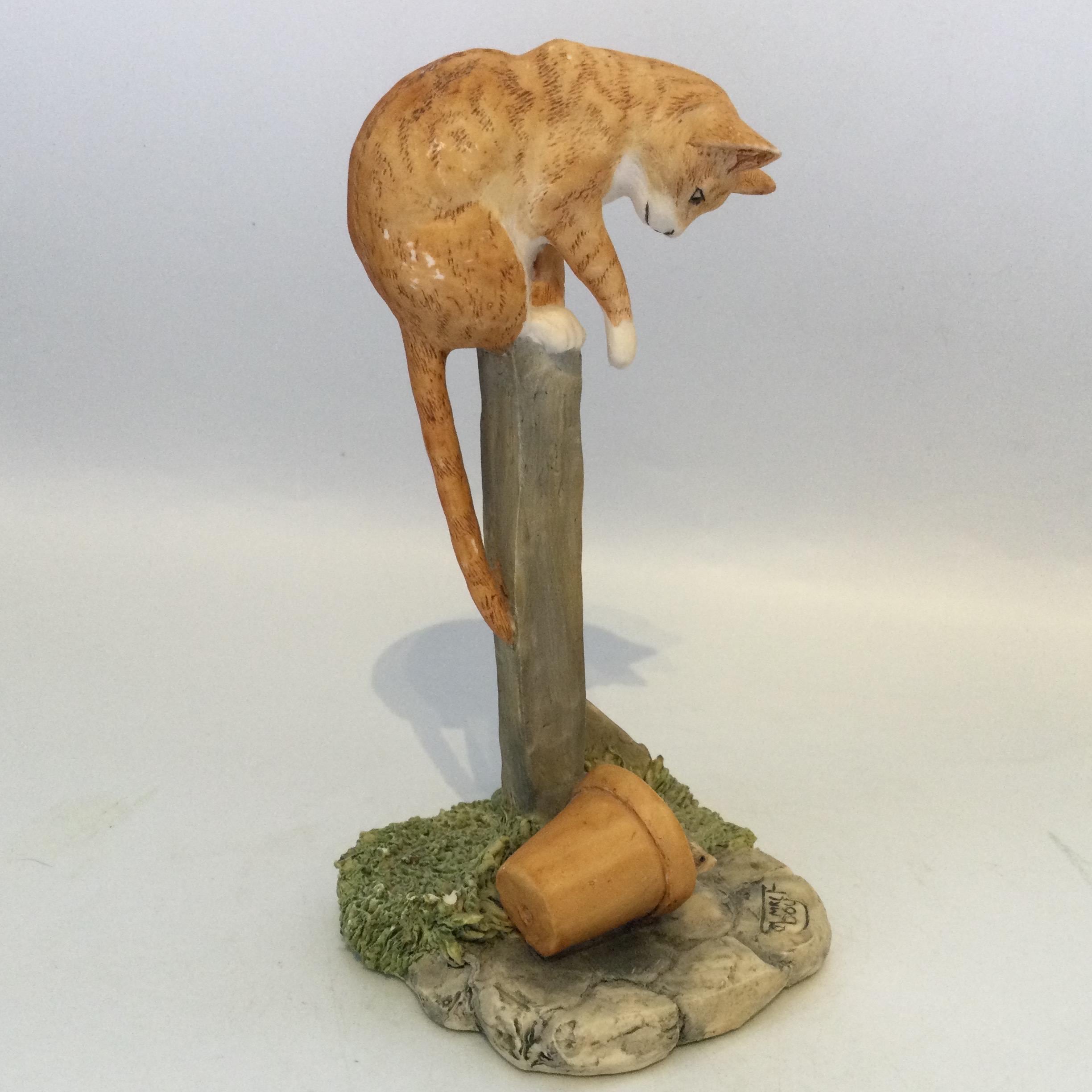 Border Fine Arts Cats - Etsy