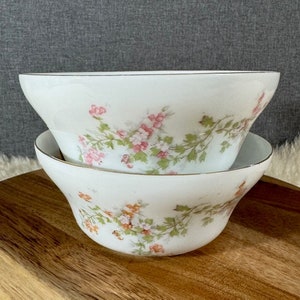 Antique Victoria Austria China