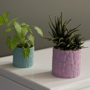 Può includere: Due piccole piante in vaso su una superficie bianca. Una pianta è in un vaso azzurro con un motivo strutturato, l'altra in un vaso lavanda con un design simile. Le piante hanno foglie verdi.