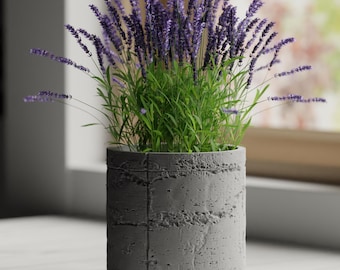 Concrete Planter Round | Kitchen Home Bedroom Gift For Mini Plants 3D Printed 3 4 5 6 7 inch BETONG