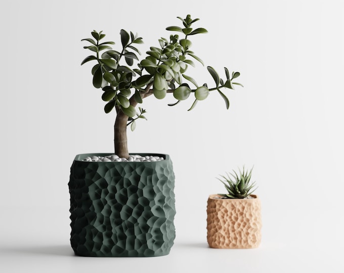 Terraformed Planter Square with Optional Drainage Hole | Kitchen | Home | Bedroom | Gift For Mini Plants 3D Printed 3 4 5 6 7 inch FLISOR