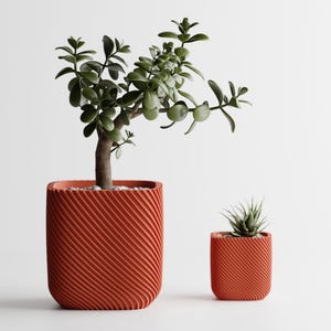 Puede incluir: Dos macetas de color terracota texturizadas con diseños en espiral. La maceta más grande contiene una planta de jade con hojas verdes. La maceta más pequeña contiene una suculenta. Ambas sobre fondo blanco.