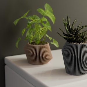 Peut inclure: Deux pots géométriques avec des plantes différentes. Le pot de gauche est brun et contient une plante feuillue. Le pot de droite est gris et contient une plante grasse.