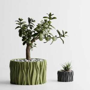 May include: Two decorative planters with plants. A large green planter with a textured, vertical wave design holds a jade plant. A smaller black planter with a similar design contains a succulent.