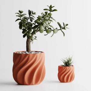 May include: Two terracotta-coloured, spiral-patterned planters, one large and one small, each holding a different plant. The larger planter contains a jade plant with green leaves and a brown trunk. The smaller planter holds a succulent.