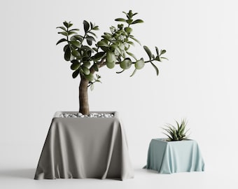 Silk Cloth Look Square Planter | Kitchen Home Bedroom Gift For Mini Plants 3D Printed 3 4 5 6 7 8 inch TRASA